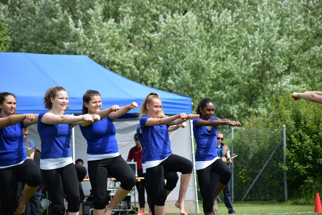 Bild (14)